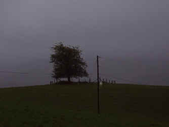 Bolt Cemetery - Virginia